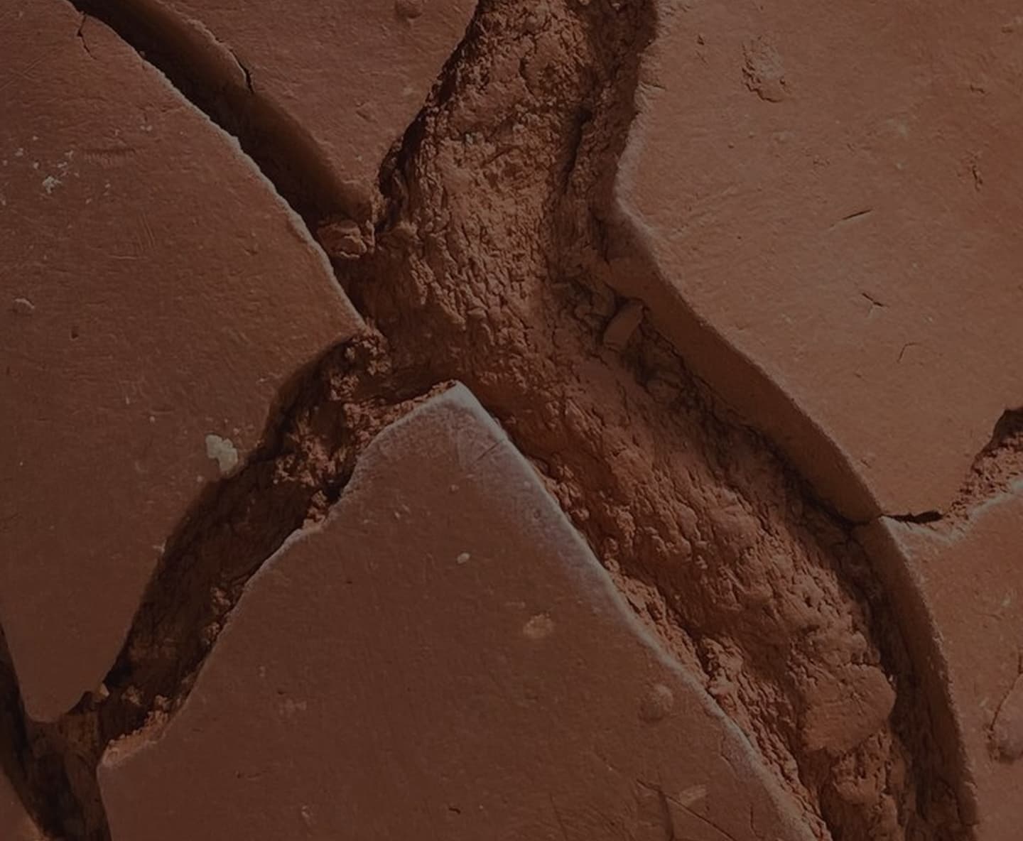 Close-up of cracked, drying clay